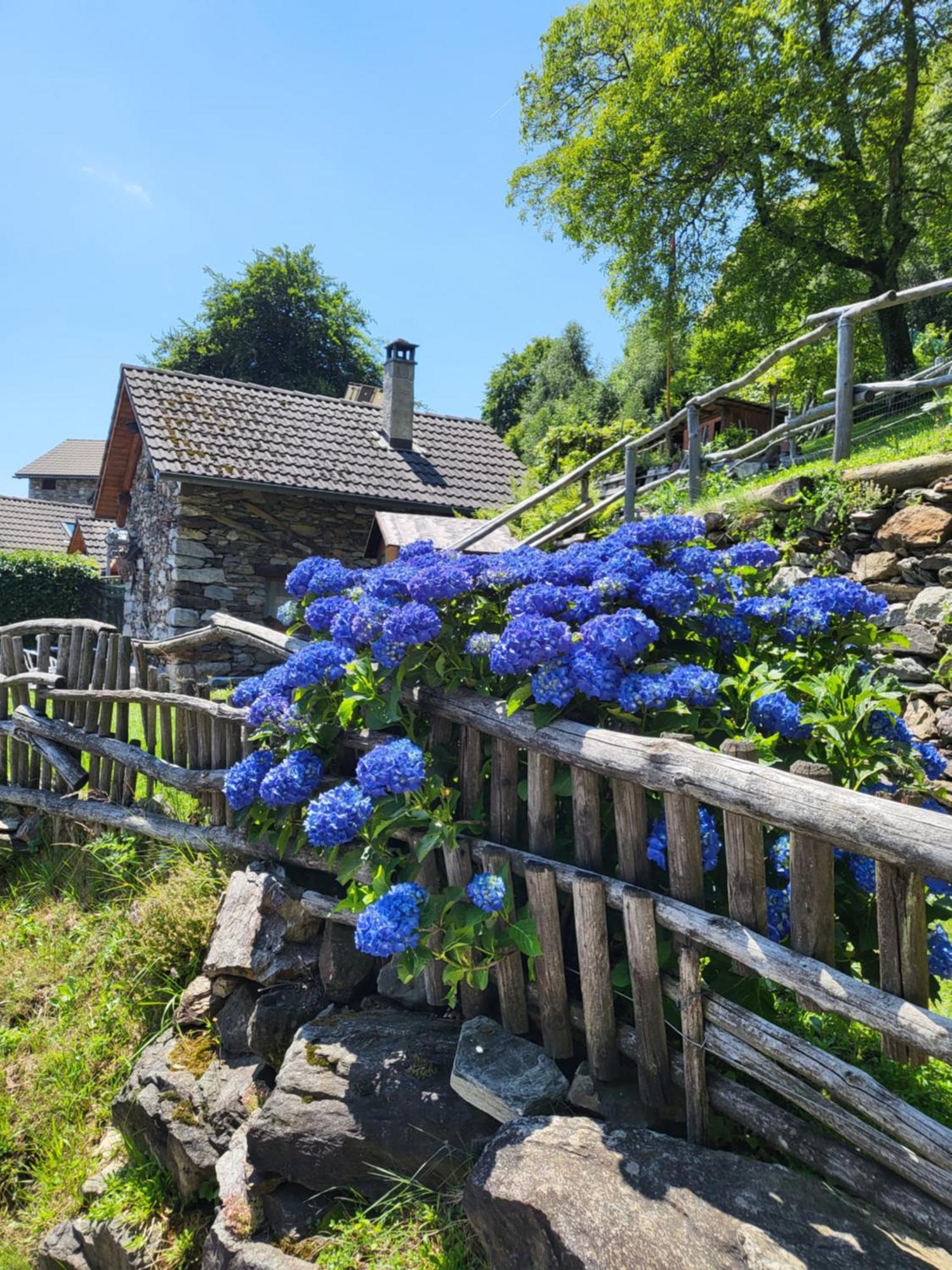 Casa Poiana Villa Ronco sopra Ascona Buitenkant foto